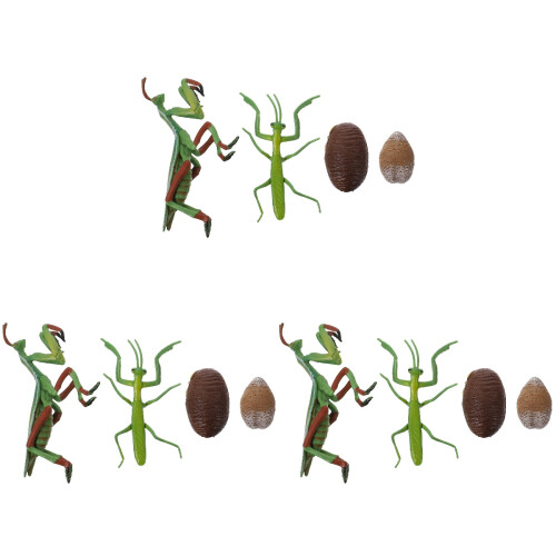 3Ensembles Modèles Vie Jeu Educatif Couleurs Variées 1