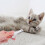 Coupe Ongles Argenté Pour Chats Petits Animaux 6