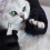 Coupe Ongles Argenté Pour Chats Petits Animaux 7