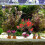 Safe Fishtanks Decoration Realistic Green Plant-Section 2 7