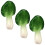 9 Pcs Artificial Vegetables Model Simulation Props 3
