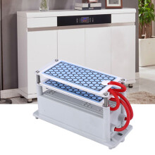 Effizienter 10g Ozongenerator für Haushaltsgeruchbeseitigung AC220V