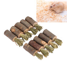 10Pcs Edible Rabbit Chew Sticks, Safe for Guinea Pigs & Bunnies