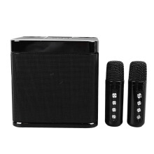Wireless Karaoke Speakers Portable Bluetooth Machine with 2 Microphones Black