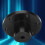 D shaped Wheel Shaft Coupling Hubs for Mecanum 5