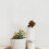 2Pcs Artificial Succulent Plastic Plants For Home Office Decor 10