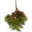 2Pcs Artificial Succulent Plastic Plants For Home Office Decor 2