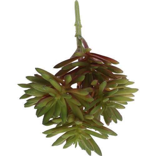 2Pcs Artificial Succulent Plastic Plants For Home Office Decor 1