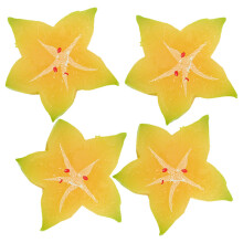 4pcs Wall Hanging Glass Flower Vases 13.5cm Round Planters For Hydroponic Propagation Stations Indoor Plant Terrariums And Wall Decor