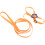 lizard traction touw , reptiel buitenriem 6