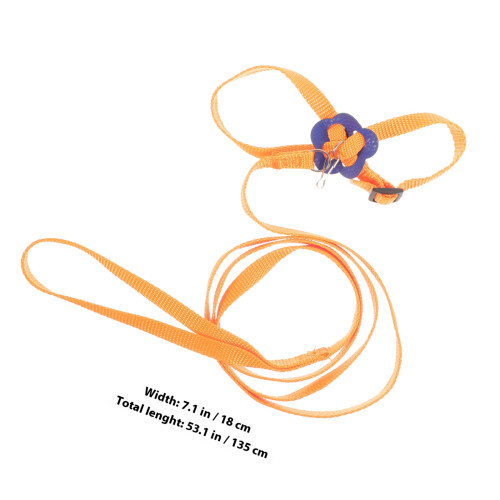 lizard traction touw , reptiel buitenriem 1