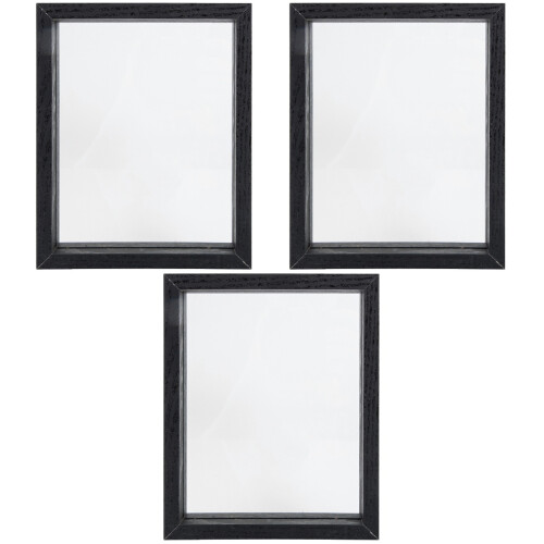 3pcs Specimen Display Box Butterflies Plants Frame 2