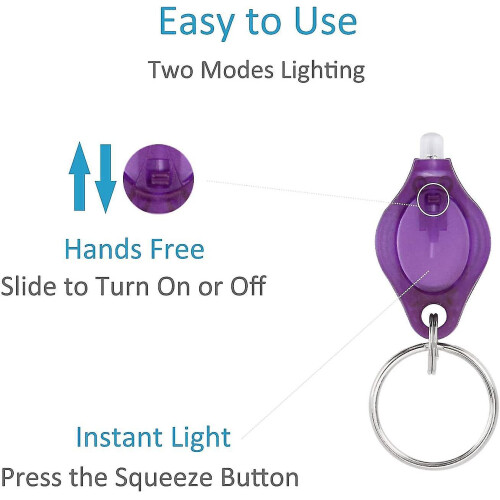 10 Pieces Uv Light Mini Led Keychain Flashlight Torch Keyring Lights 2