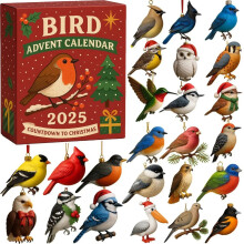 Bird Advent Calendar 2025 Bird Christmas Countdown Calendar