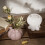 Customizable Blessing Bag Sturdy Silicone Mould for Craft-Clear 5