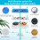 Replacement Filter for Cats/Dog Water Dispenser-8 plus 8 plus 8 3