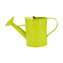 Watering Can Green Iron Kettle-Style, Indoor Outdoor Use Gardening Tool, Durable Metal Watering Can
