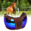 Sports Horse Glasses Multi Layers Sponge 12