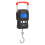 110lb/50kg Electronic Digital Fishing Scale 10