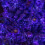 Premier 9.3m 720 LED Christmas Cluster String Lights with Timer in Blue, Purple & White on Clear Cable 6