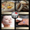 Timer, Mechanical Kitchen Timer, Adsorbable Magnetic Timer, Remaining Time Display with Audible Alarm, Magnetized Timer, Cooking Timer - 60 Minutes 5
