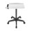 Height Adjustable Salon Tray on Wheels,Hair Color Service Tray 12