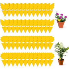 (48) 48 Pack Sticky Fruit Fly Traps and Fungus Gnat Trap Killer for Indoor Outdoor, House Plant Trap for Fruit Flies, Flying Insects