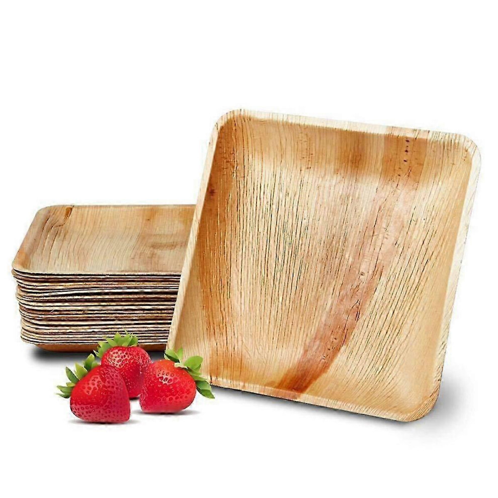 25 disposable palm leaf plates, 20 cm (8 inches), eco-friendly, biodegradable and compostable