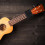 Ukulele Learning System Teaching Practice Aid For Beginner (Black) 10
