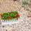 3 Decoratieve Plantenbak Hars Miniatuur 4