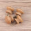 20St Mushroom Ladegreep Van Hout Voor 5