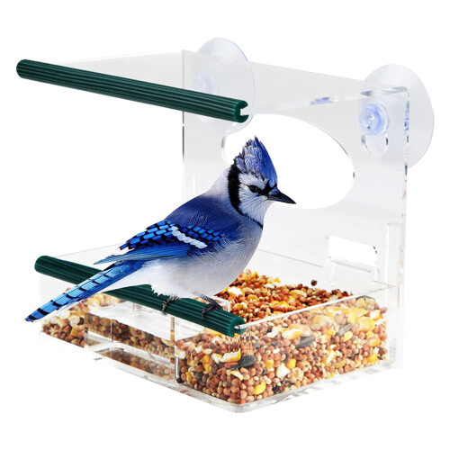 Transparenter Fenster Vogelfutterer Mit Herausnehmbarem Tablett 1
