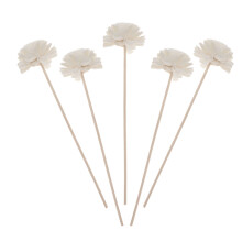 5 rattanstäbchen aus natürlichem schilf für öldiffusor mit blumenkopf