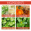 Patchs Correcteurs pour Imperfections - Boutons, Verrues et Cors 5