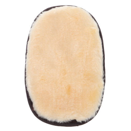 schuhpflege-handschuh mit bürste für
