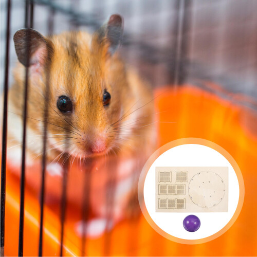 Hamster Maze Speelgoed Huisdier Beweging 2