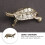 mini bonsai plantendecor met schildpad voor 10