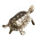 mini bonsai plantendecor met schildpad voor 6