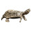 mini bonsai plantendecor met schildpad voor 3