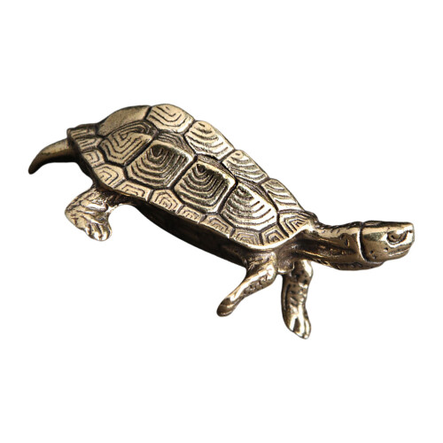 mini bonsai plantendecor met schildpad voor