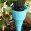 12Pcs Automatic Bonsai Plant Watering Tools Assorted Color Durable PP 8