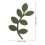 1 Pack Bruiloft Confetti Grijs Groen Blad Verlovingsfeest 3