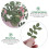 1 Pack Bruiloft Confetti Grijs Groen Blad Verlovingsfeest 8