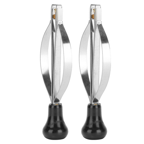 2PCS Edelstahl Haustier Läuse Entferner Floh Clip 1