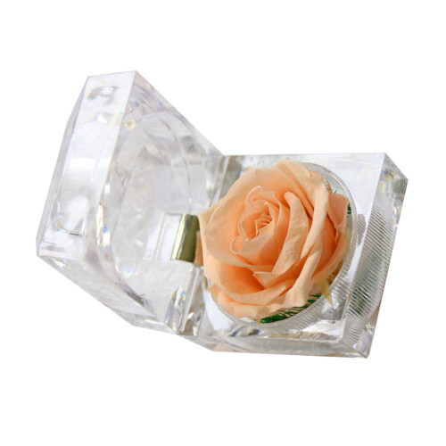Gepreserveerde eeuwigdurende in lade cadeaudoos -