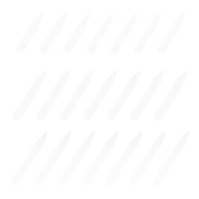 300pcs Plastic Collar Stays for Dress Shirts