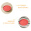 4Pcs Small Poultry Feeding Tray Plastic Feed Container For Chicks 9