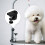 Dog Groom Table Arm Clamp Secure Grooming Table 1pack 9