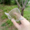 Cucumber Shaping Molds Acrylic 4pcs 7.9x2.6in 7