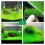 Christmas Moss Plant Aquarium Aquarium Java Moss Moss Mesh Aquarium 4